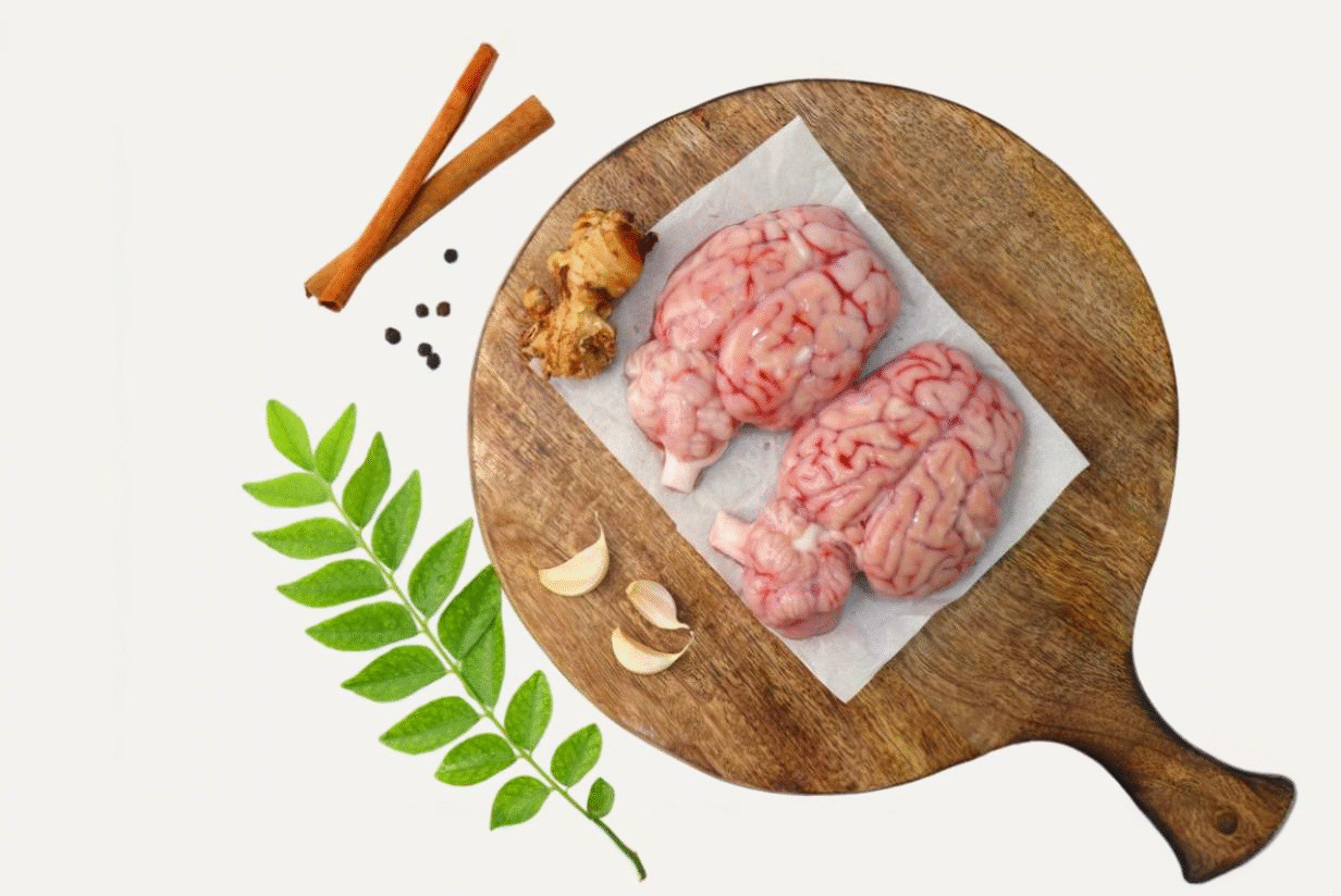 MUTTON BRAIN
